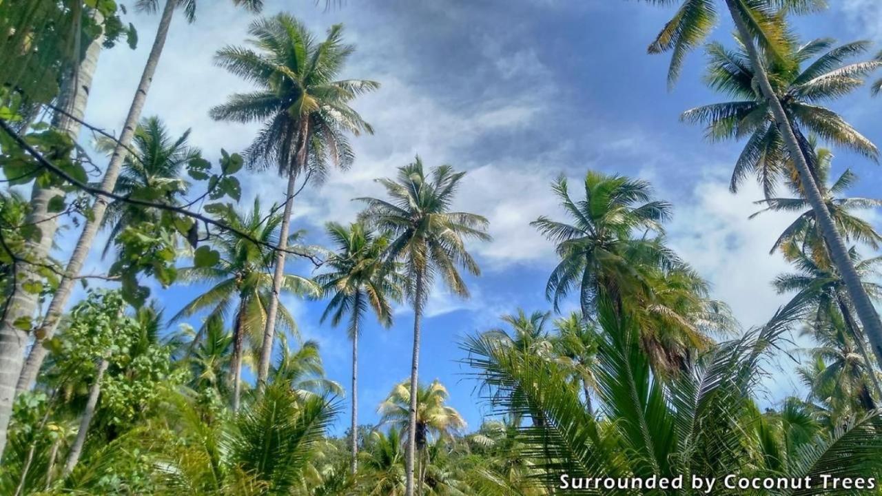 Mansuar Raja Ampat Bungalows Kri 외부 사진